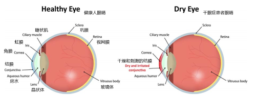 1.2原比例.png